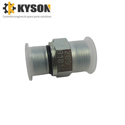 Check Valve 2898181 2898182 for Original Cummins Diesel Motor Spare Parts